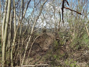 100_0406.JPG