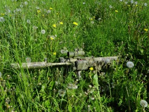 100_3344.jpg